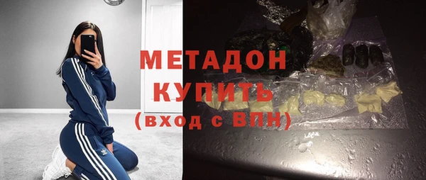 шишки Арсеньев