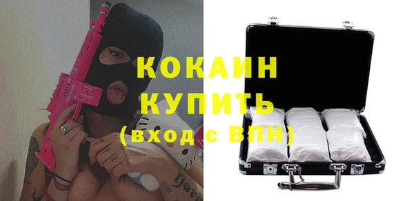 шишки Арсеньев