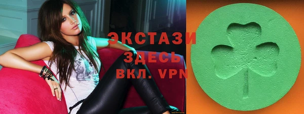 шишки Арсеньев