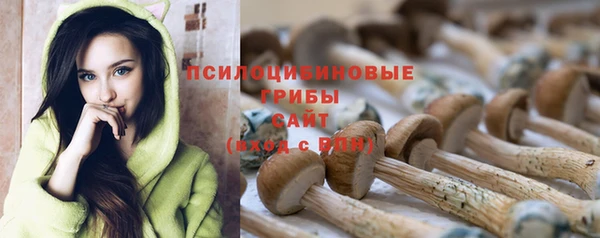 прущие крисы Аркадак