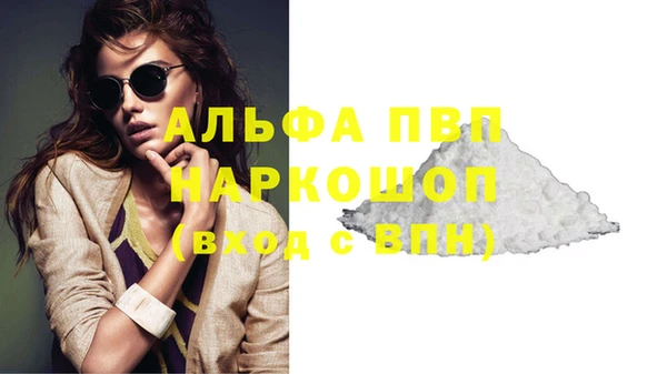 шишки Арсеньев