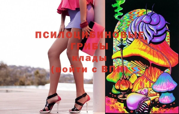 шишки Арсеньев