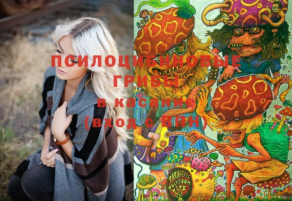 прущие крисы Аркадак