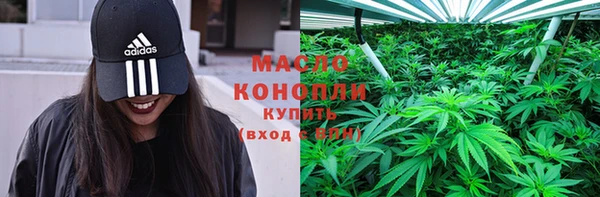 шишки Арсеньев