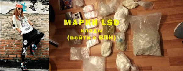 шишки Арсеньев