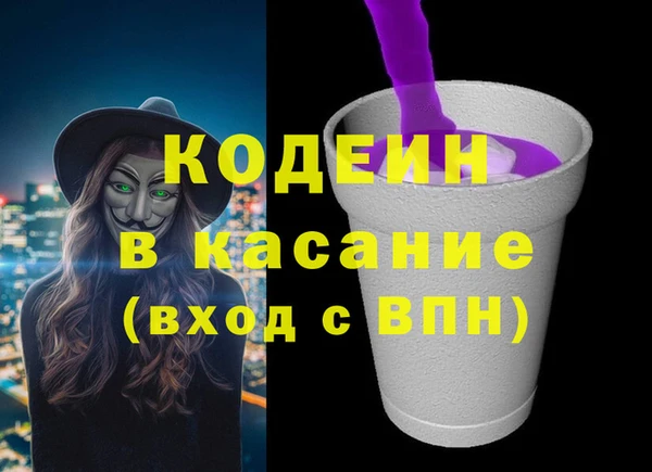 шишки Арсеньев