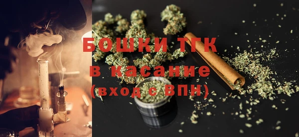 шишки Арсеньев