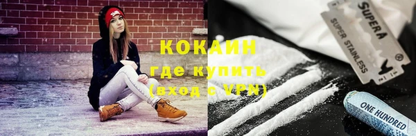 шишки Арсеньев